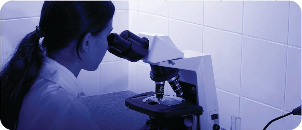 Controle Microbiológico​ por Microscopia​ de Plaqueamento